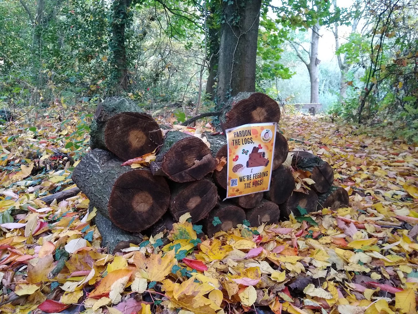 “Pardon the logs” by Coventry University