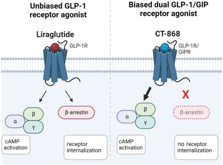 roche glp-1 Carmot Therapeutics