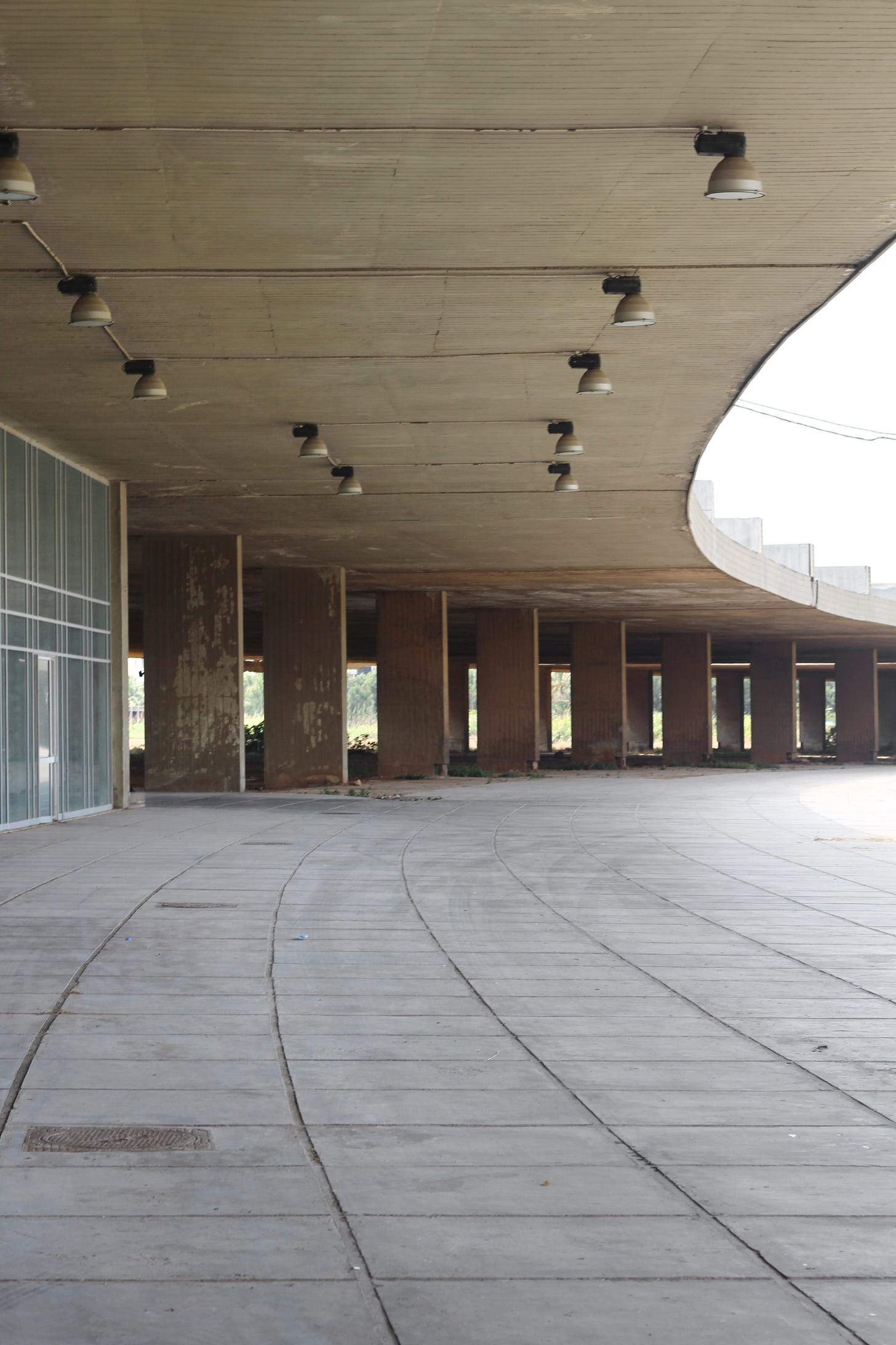 IMG_8694.jpeg IMG_8694.jpeg