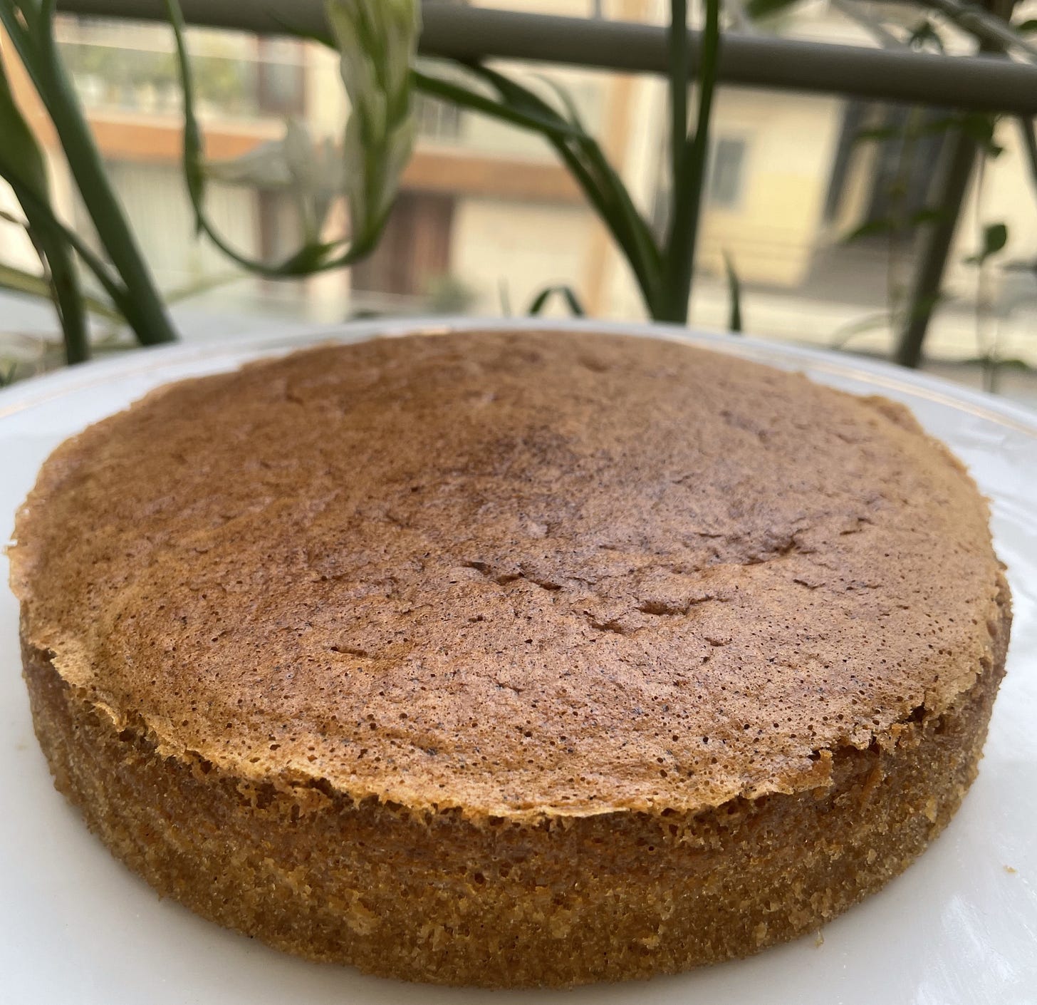 Golden brown sponge cake, sits on a white plate.