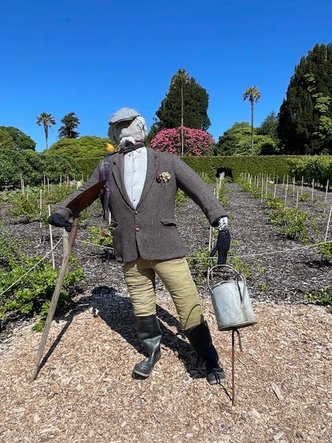 photos of Heligan by Sabrina Simpson