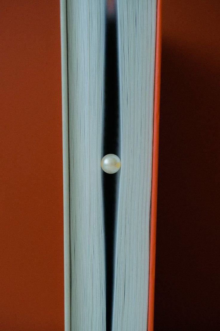 May be an image of saddle-stitched leather and book