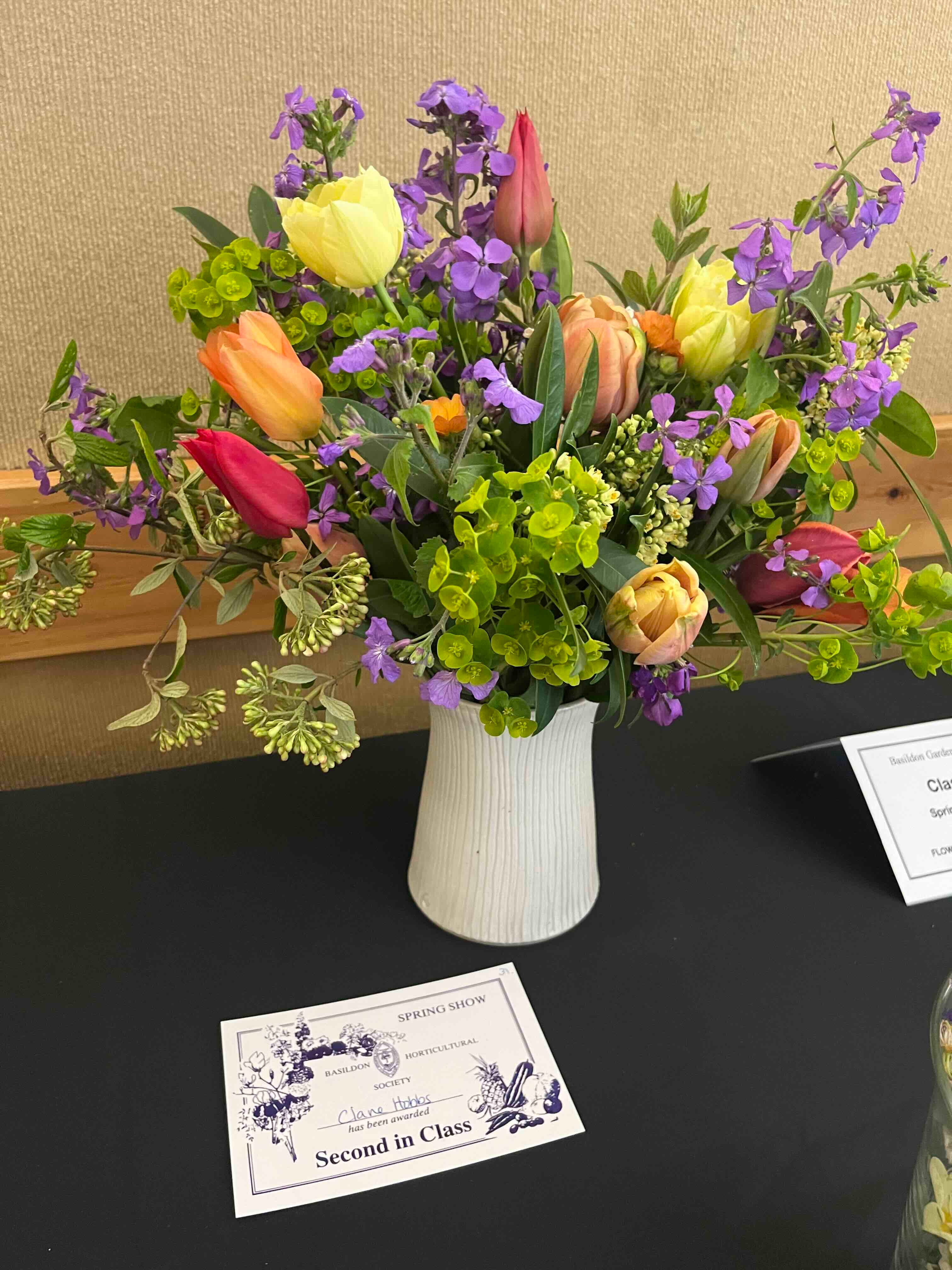 Old fashioned wallflowers - by Clare Foster - Bud to Seed
