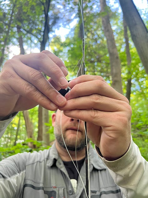 Pictures of man and woman untangling fly line from trees and rods.