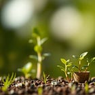 Philosophy Of Ministry - Start Small, Do Something, Build And Grow