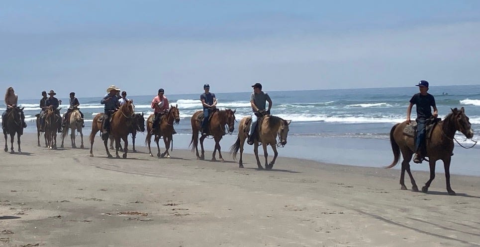 Eight people riding horses cross the beach near the ocean