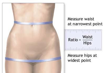 Setting waist training goals – focusing on proportion – Lucy's Corsetry Setting waist training goals – focusing on proportion – Lucy's Corsetry