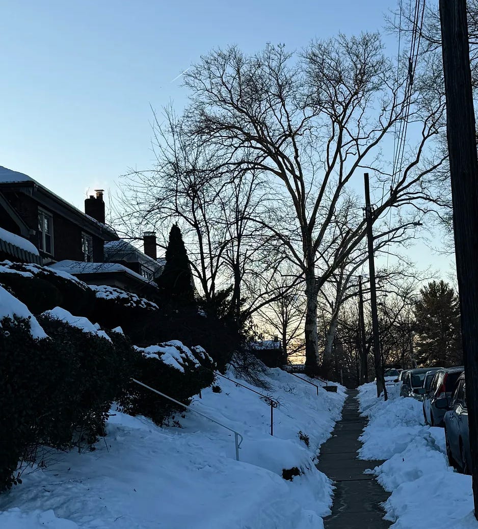 Image of snow on the ground at sunrise
