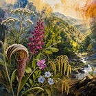 Field Notes: Native Plant Walk at Sugarloaf Ridge