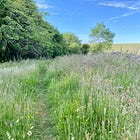 What is a regenerative life?