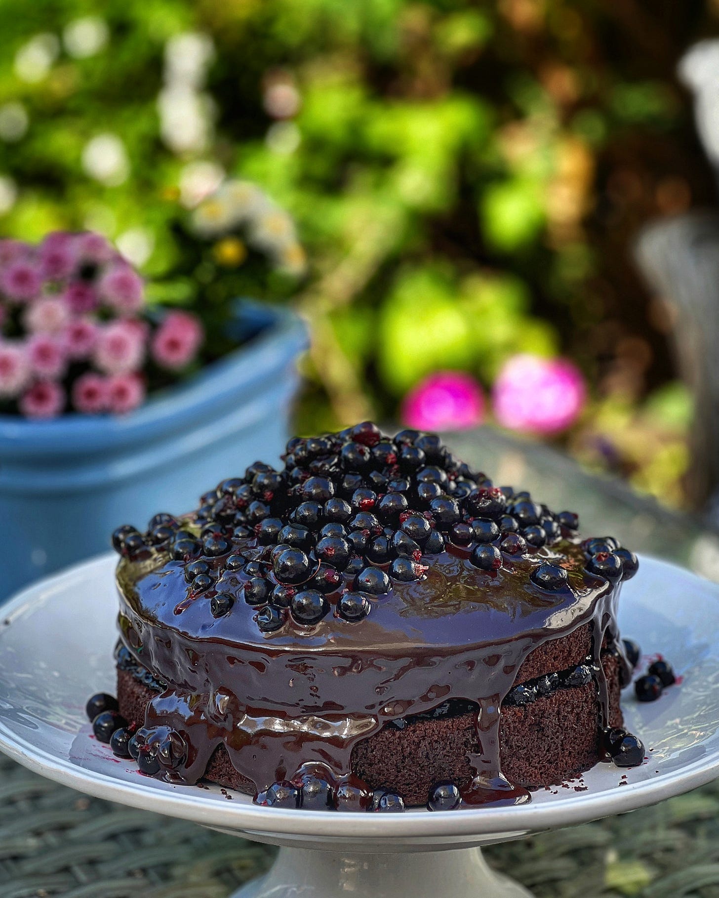 Nigella's liquorice blackcurrant chocolate cake - Photo © Nathan Young-Ziolkowski Nigella's liquorice blackcurrant chocolate cake - Photo © Nathan Young-Ziolkowski