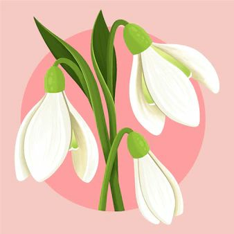 Hopelessly Optimistic