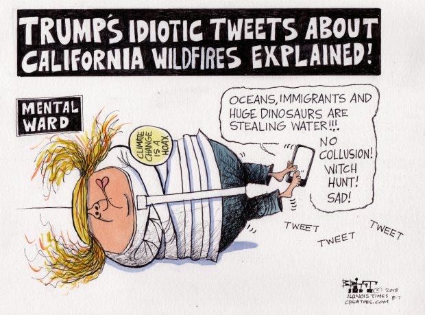 Political cartoons: California wildfires and President Trump Political cartoons: California wildfires and President Trump