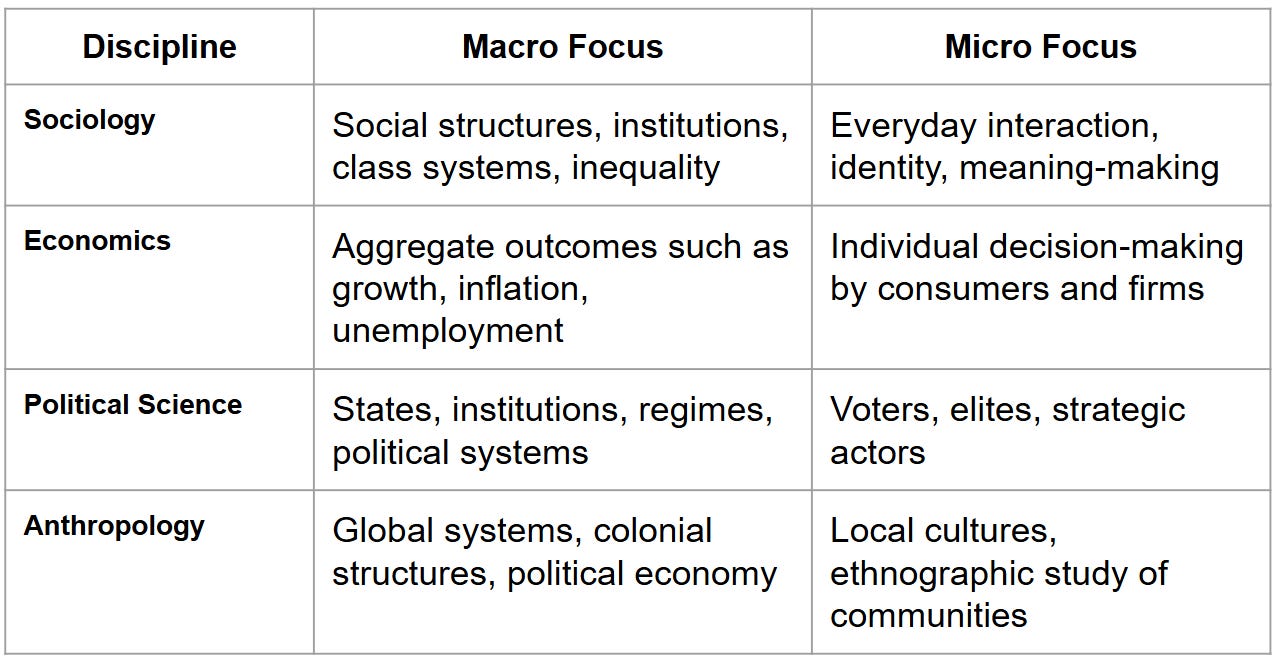Micro Approach The Macro and Micro Aspects of Studying Human Systems