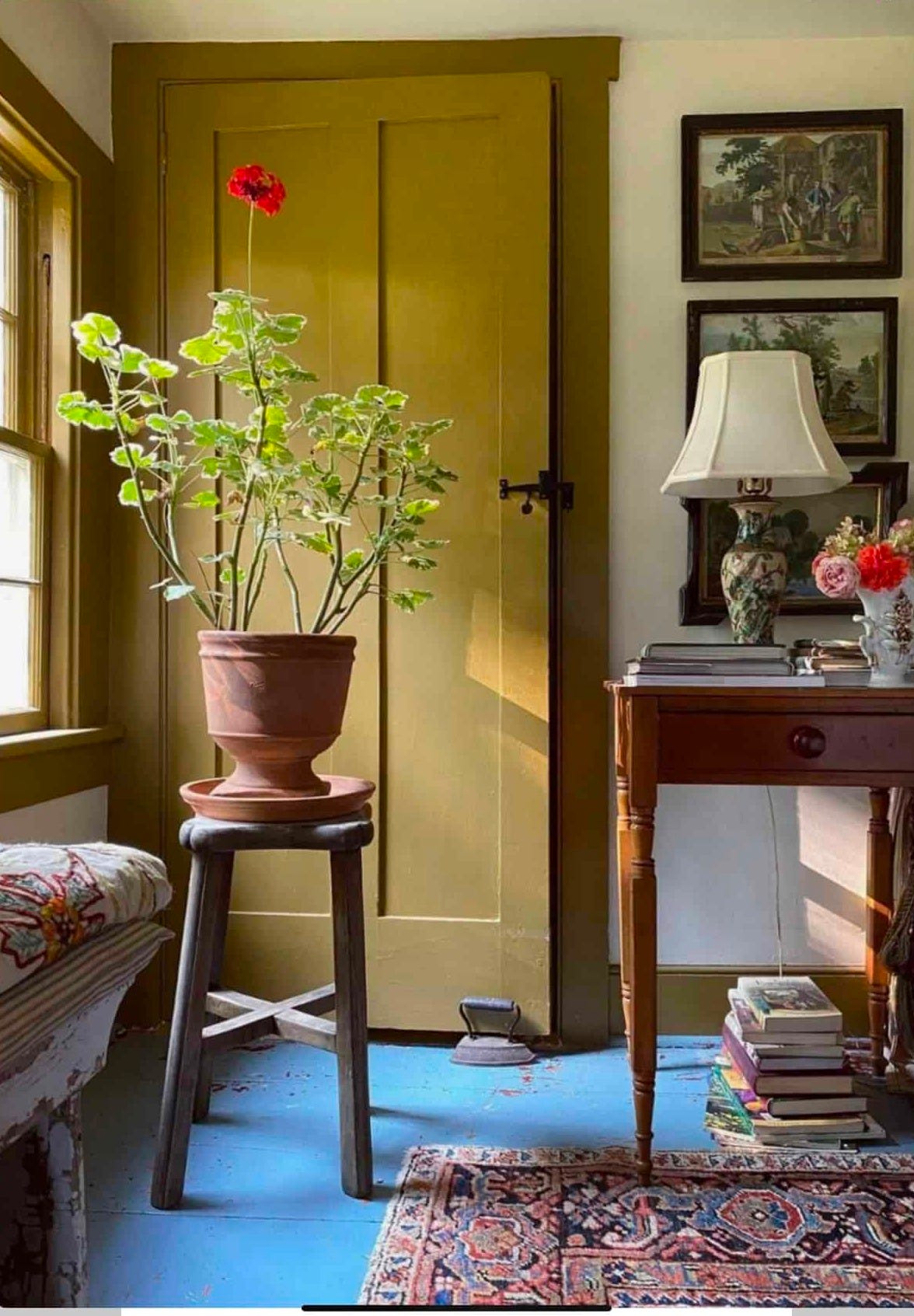 Beautiful indoor plant in a terracotta pot on a blue floor with a vintage rug in front. a lime green door in a vintage interior bedroom. Beautiful indoor plant in a terracotta pot on a blue floor with a vintage rug in front. a lime green door in a vintage interior bedroom.
