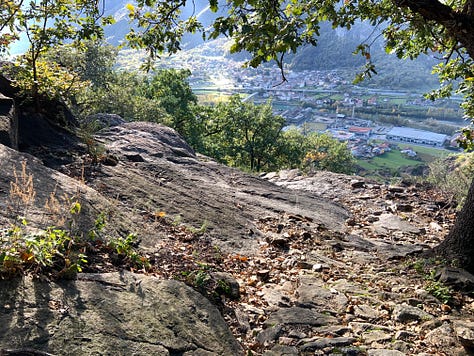 Autumn Walks In The Forests And In The Mountains: The Perfect Escape From City Life