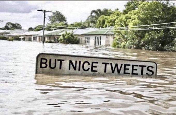 May be an image of body of water and text that says 'BUT NICE TWEETS'