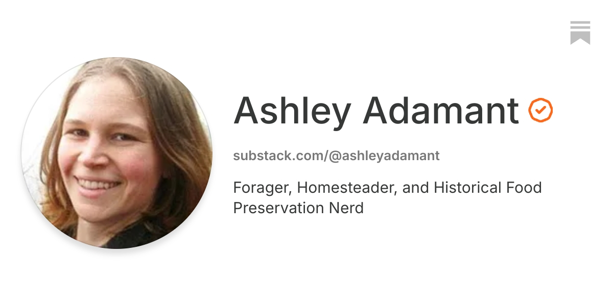 Ashley Adamant | Substack