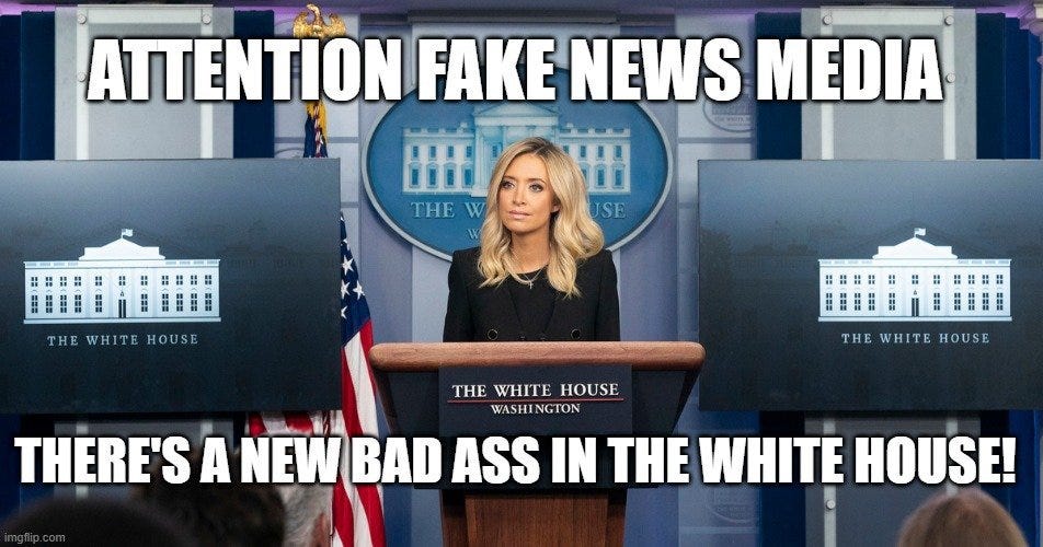WH Press Secretary Kayleigh McEnany Slams Fake News Media WH Press Secretary Kayleigh McEnany Slams Fake News Media