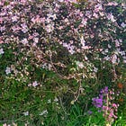 You Don’t Have to Perform Presence...