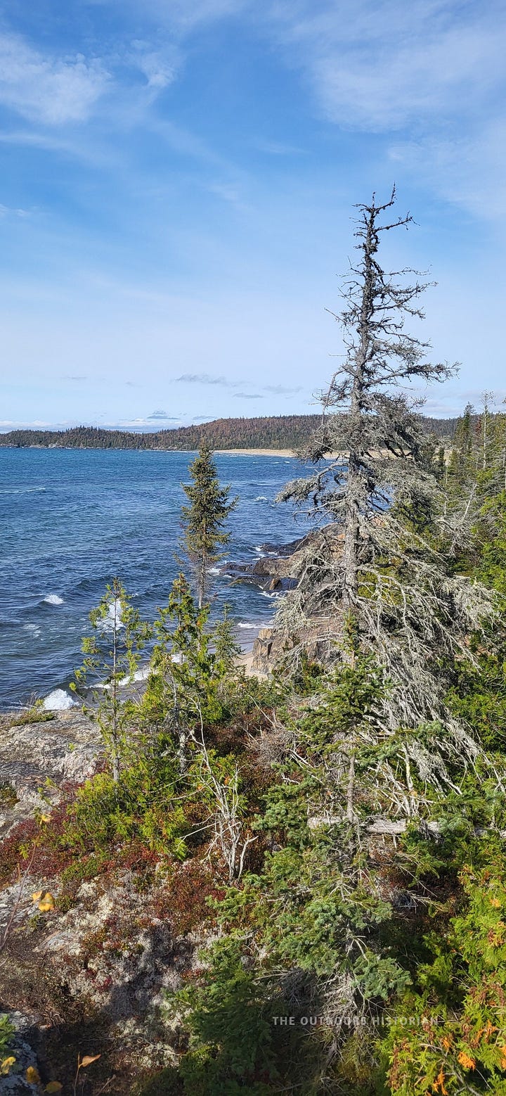 Image 1: Eugene playfully holding a clump of light green "Old Man's Beard" lichen up to his face like a mustache. Image 2: A thick stand of boreal spruce and birch trees framing a bright blue patch of Lake Superior in the distance.