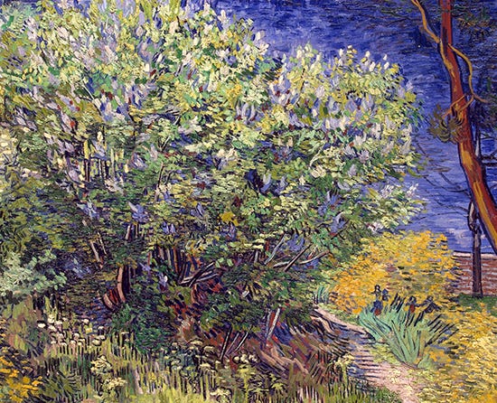 Lilac Bush, 1889, Vincent van Gogh Lilac Bush, 1889, Vincent van Gogh