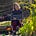 Louisa Downing's avatar