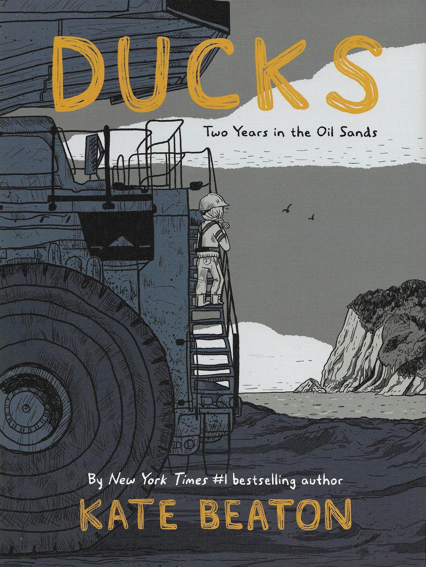 Book cover of Ducks: Two Years in the Oil Sands Book cover of Ducks: Two Years in the Oil Sands