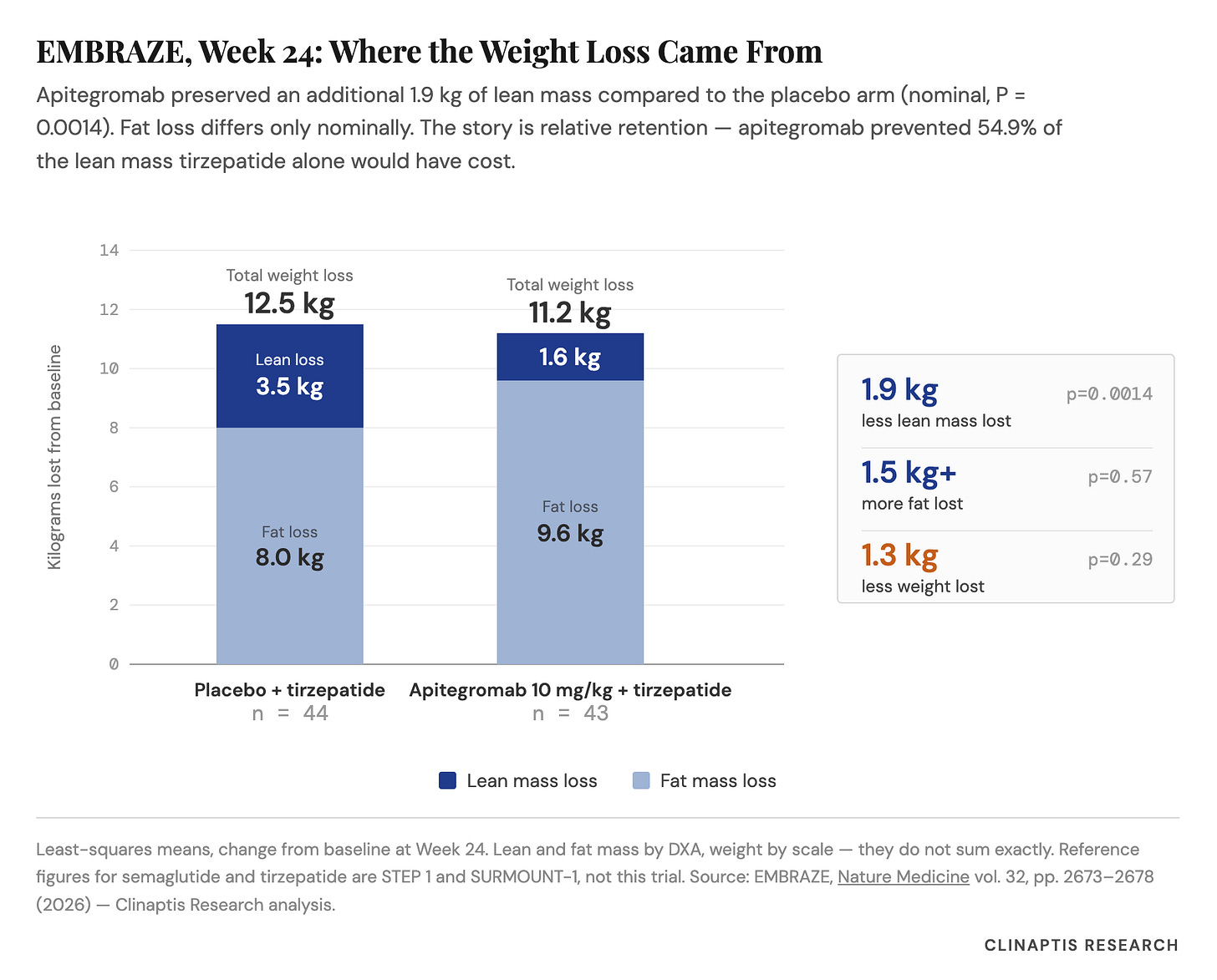 EMBRAZE, Week 24: Where the Weight Loss Came From
Apitegromab preserved an additional 1.9 kg of lean mass compared to the placebo arm (nominal, P =
0.0014). Fat loss differs only nominally. The story is relative retention - apitegromab prevented 54.9% of
the lean mass tirzepatide alone would have cost.
14
Total weight loss
Total weight loss
12
12.5 kg
11.2 kg
1.6 kg
10
Lean loss
3.5 kg
1.9 kg
p=0.0014
less lean mass lost
8
1.5 kg+
p=0.57
6
Fat loss
more fat lost
Fat loss
9.6 kg
4
8.0 kg
1.3 kg
p=0.29
less weight lost
Kilograms lost from baseline
2
Ø
Placebo + tirzepatide
Apitegromab 10 mg/kg + tirzepatide
n = 44
n = 43
Lean mass loss
Fat mass loss
Least-squares means, change from baseline at Week 24. Lean and fat mass by DXA, weight by scale - they do not sum exactly. Reference
figures for semaglutide and tirzepatide are STEP 1 and SURMOUNT-1, not this trial. Source: EMBRAZE, Nature Medicine vol. 32, pp. 2673-2678
(2026) - Clinaptis Research analysis.
CLINAPTIS RESEARCH EMBRAZE, Week 24: Where the Weight Loss Came From
Apitegromab preserved an additional 1.9 kg of lean mass compared to the placebo arm (nominal, P =
0.0014). Fat loss differs only nominally. The story is relative retention - apitegromab prevented 54.9% of
the lean mass tirzepatide alone would have cost.
14
Total weight loss
Total weight loss
12
12.5 kg
11.2 kg
1.6 kg
10
Lean loss
3.5 kg
1.9 kg
p=0.0014
less lean mass lost
8
1.5 kg+
p=0.57
6
Fat loss
more fat lost
Fat loss
9.6 kg
4
8.0 kg
1.3 kg
p=0.29
less weight lost
Kilograms lost from baseline
2
Ø
Placebo + tirzepatide
Apitegromab 10 mg/kg + tirzepatide
n = 44
n = 43
Lean mass loss
Fat mass loss
Least-squares means, change from baseline at Week 24. Lean and fat mass by DXA, weight by scale - they do not sum exactly. Reference
figures for semaglutide and tirzepatide are STEP 1 and SURMOUNT-1, not this trial. Source: EMBRAZE, Nature Medicine vol. 32, pp. 2673-2678
(2026) - Clinaptis Research analysis.
CLINAPTIS RESEARCH