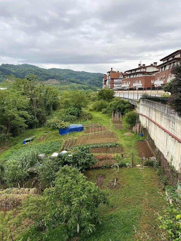 Vivo en un pueblo cuyo borde está cerca del centro. Tener estas huertas cerca de casa me hace feliz. Vivo en un pueblo cuyo borde está cerca del centro. Tener estas huertas cerca de casa me hace feliz.
