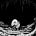 Crypt of curiosities's avatar