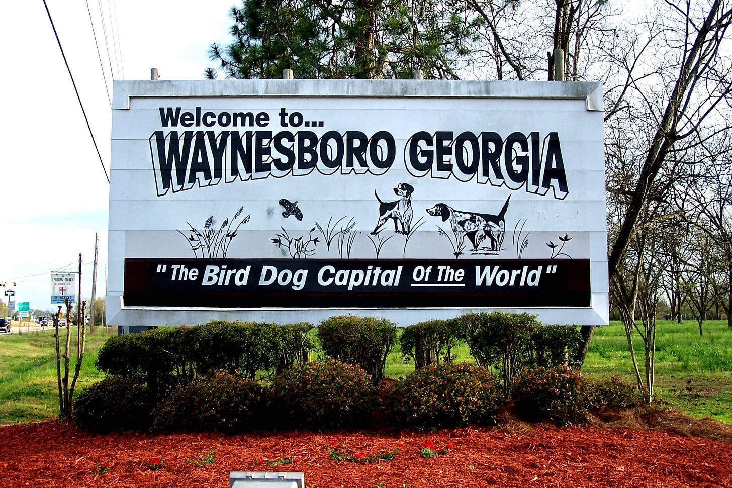 Photo of a billboard welcoming drivers to Waynesboro, Georgia, the "bird dog capital of the world."
