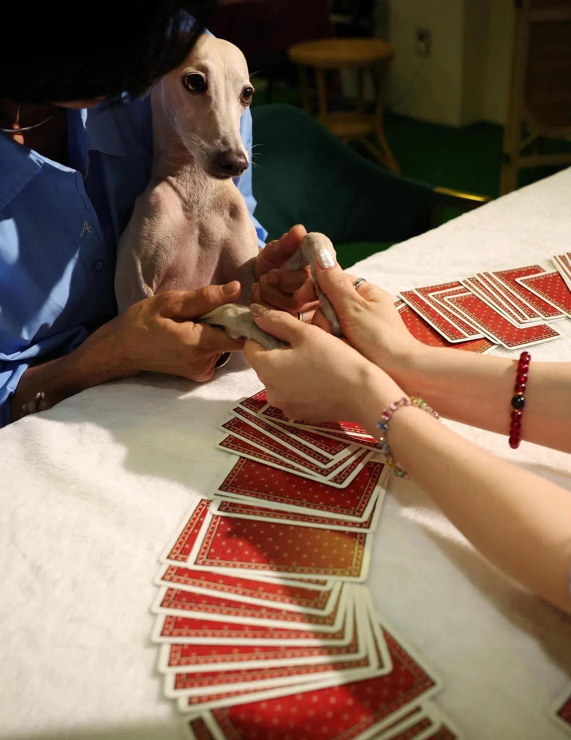 Ahn Hye-joo and her dog Khan get a pet tarot reading at a pet tarot cafe in Seoul, South Korea. Ahn Hye-joo and her dog Khan get a pet tarot reading at a pet tarot cafe in Seoul, South Korea.