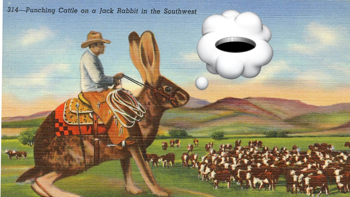 The Wit's Guide to Rabbit Holes - by Benjamin Errett