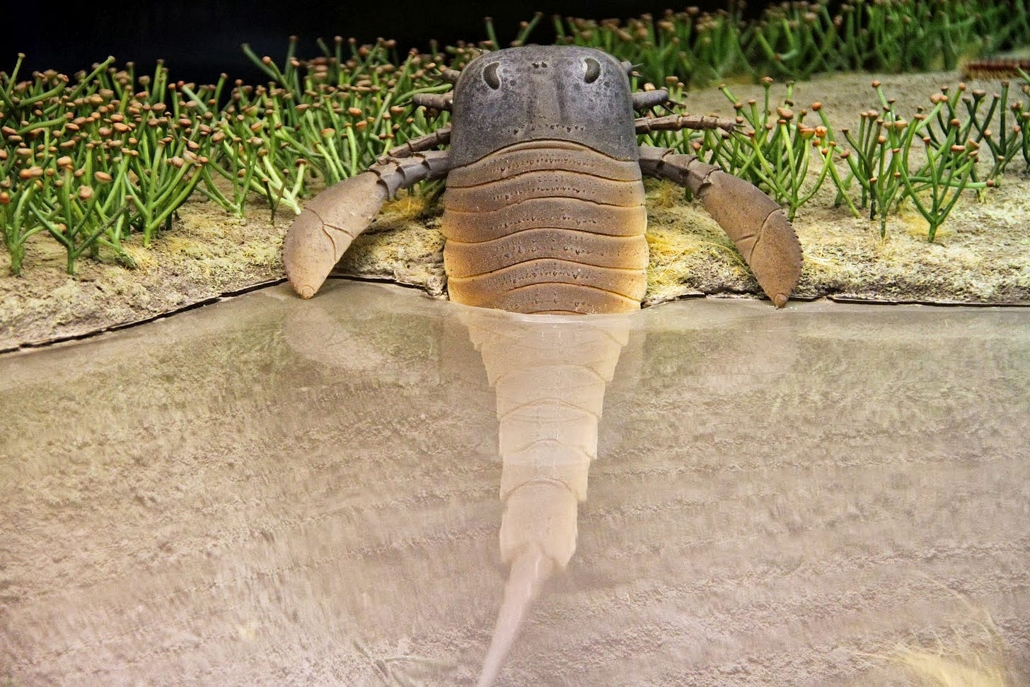 View Full Size Image