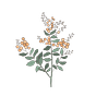 Aromatic Travel's avatar