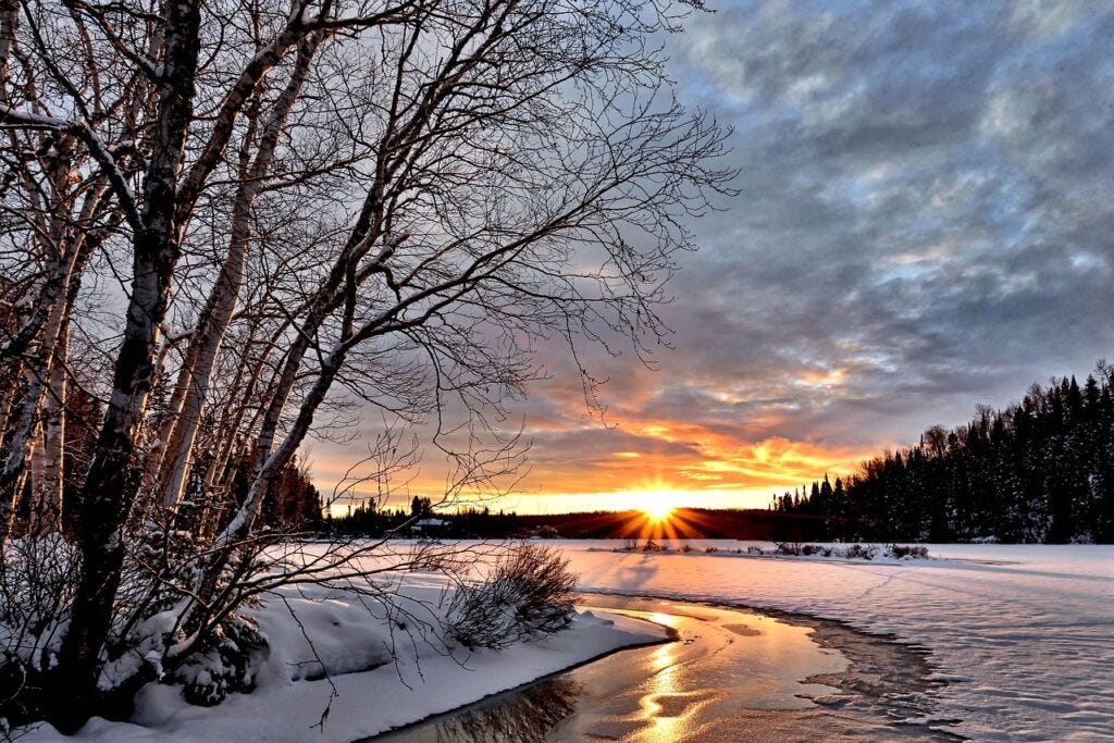 Blooming in the Frost: How to Stay Creative Through the WInter by @DanikaDuarte #creativity #writinghelps #writinginspiration #artists