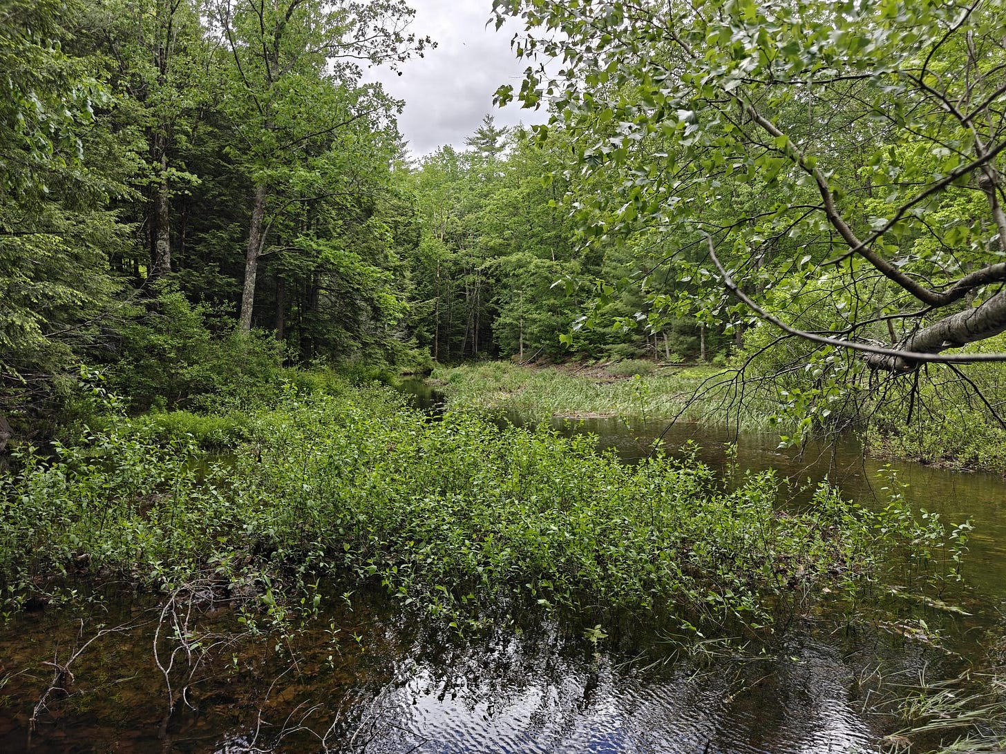 A Trek Along the Cocheco Railroad