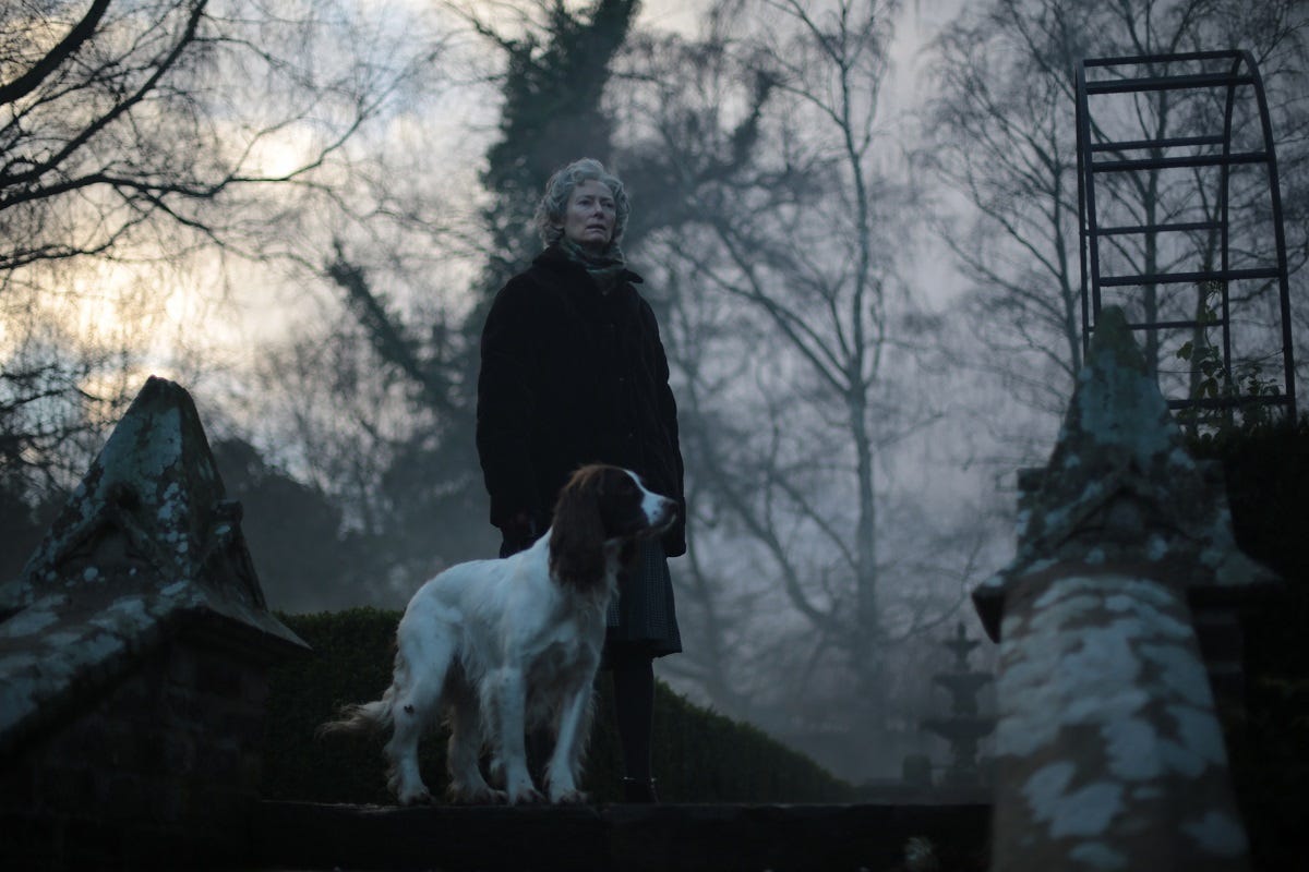 Tilda Swinton as Rosalind in The Eternal Daughter, standing outside on a cold day at the top of some stone steps, with a dog Tilda Swinton as Rosalind in The Eternal Daughter, standing outside on a cold day at the top of some stone steps, with a dog