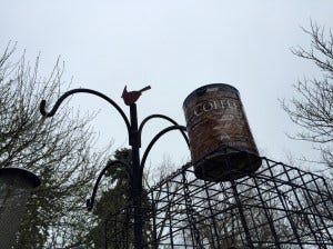 IMG_7454