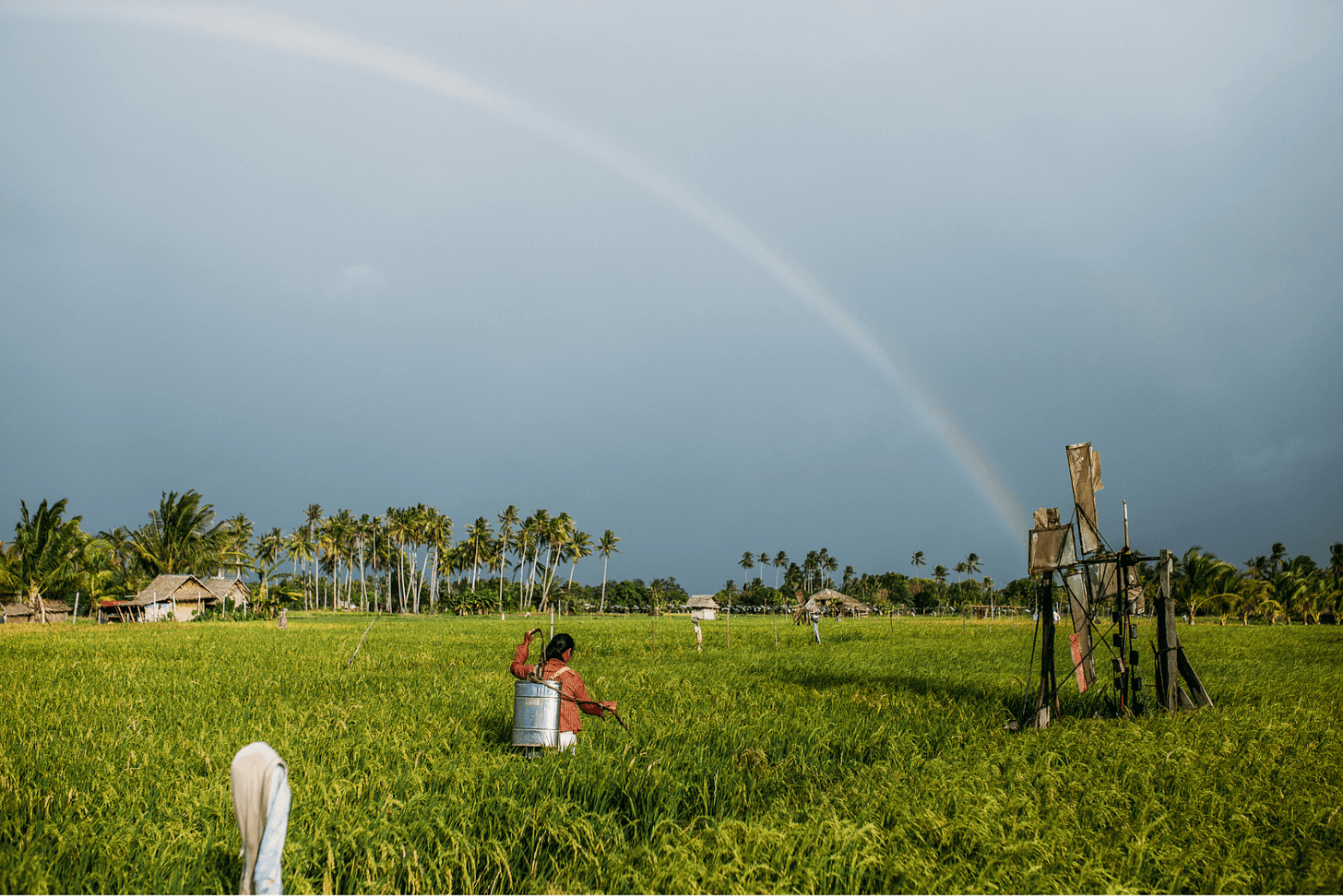 A farmer is tending a green field under a rainbow and small houses are visible on a palm tree in the distance.