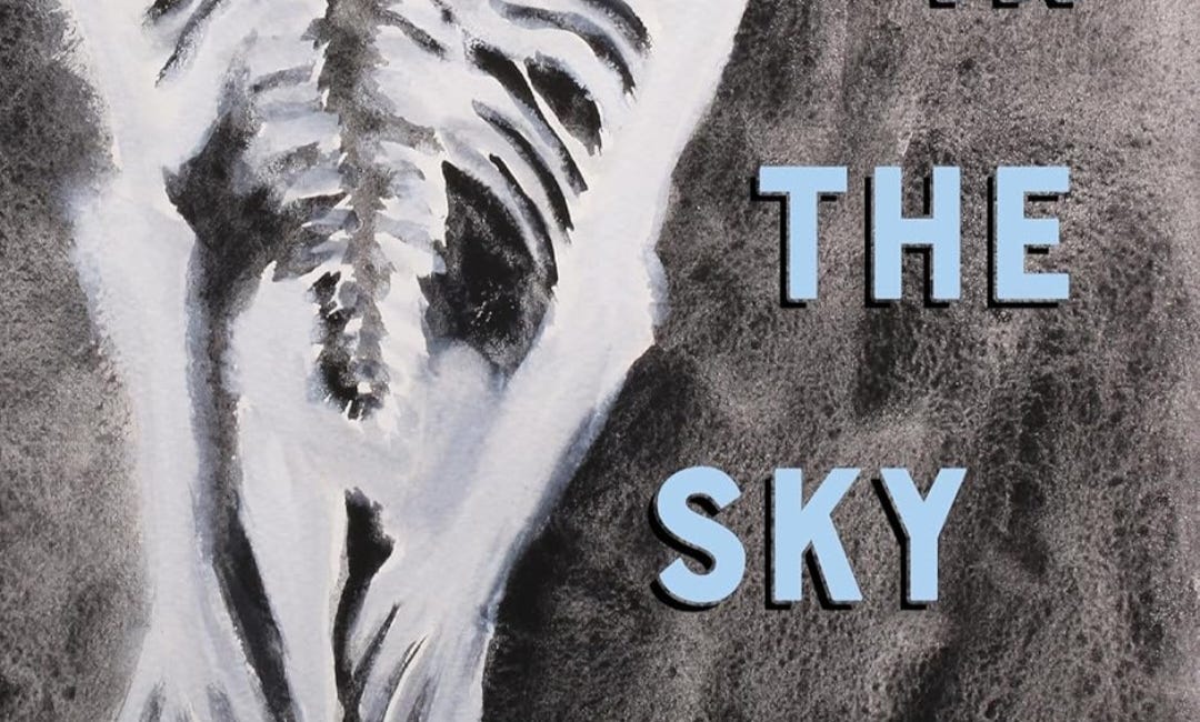 The Sky is a Sky in the Sky by Stuart Ross