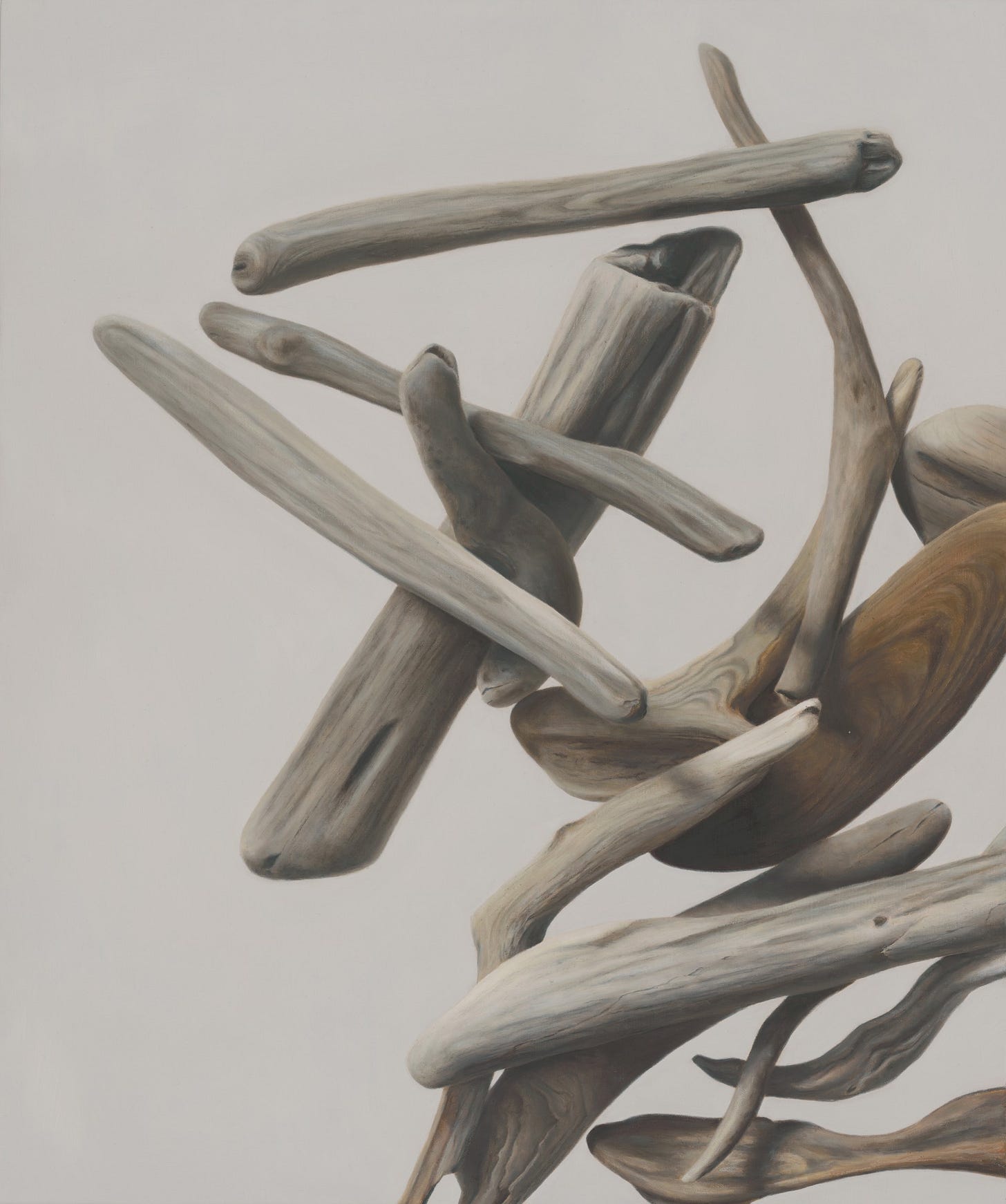 Driftwood No. 1 by Sarah Verardo