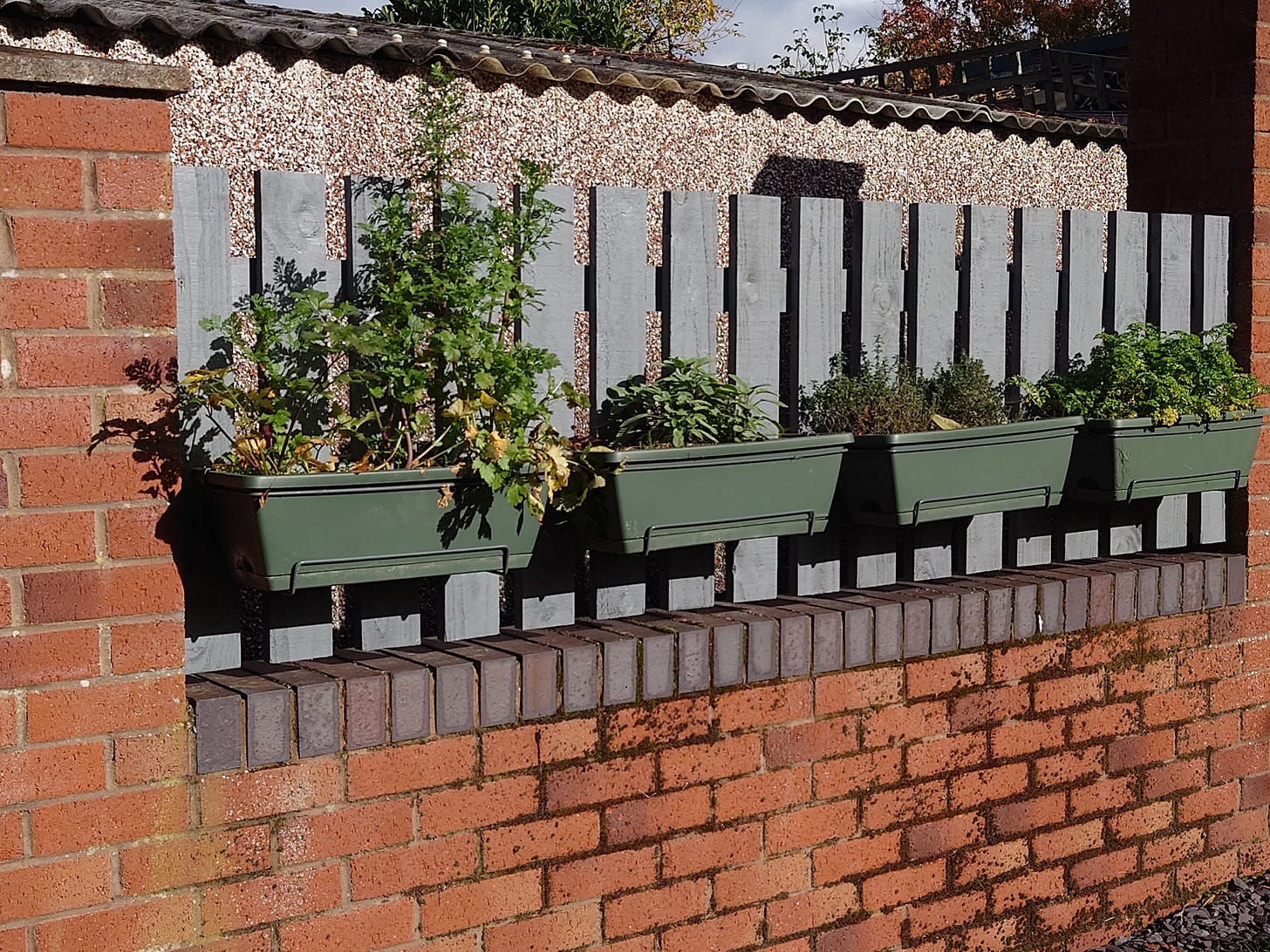 Rebuilt wooden fence panel with slats instead of overlapping boards, between brick pillars and sporting four balcony boxes of herbs hung on its front