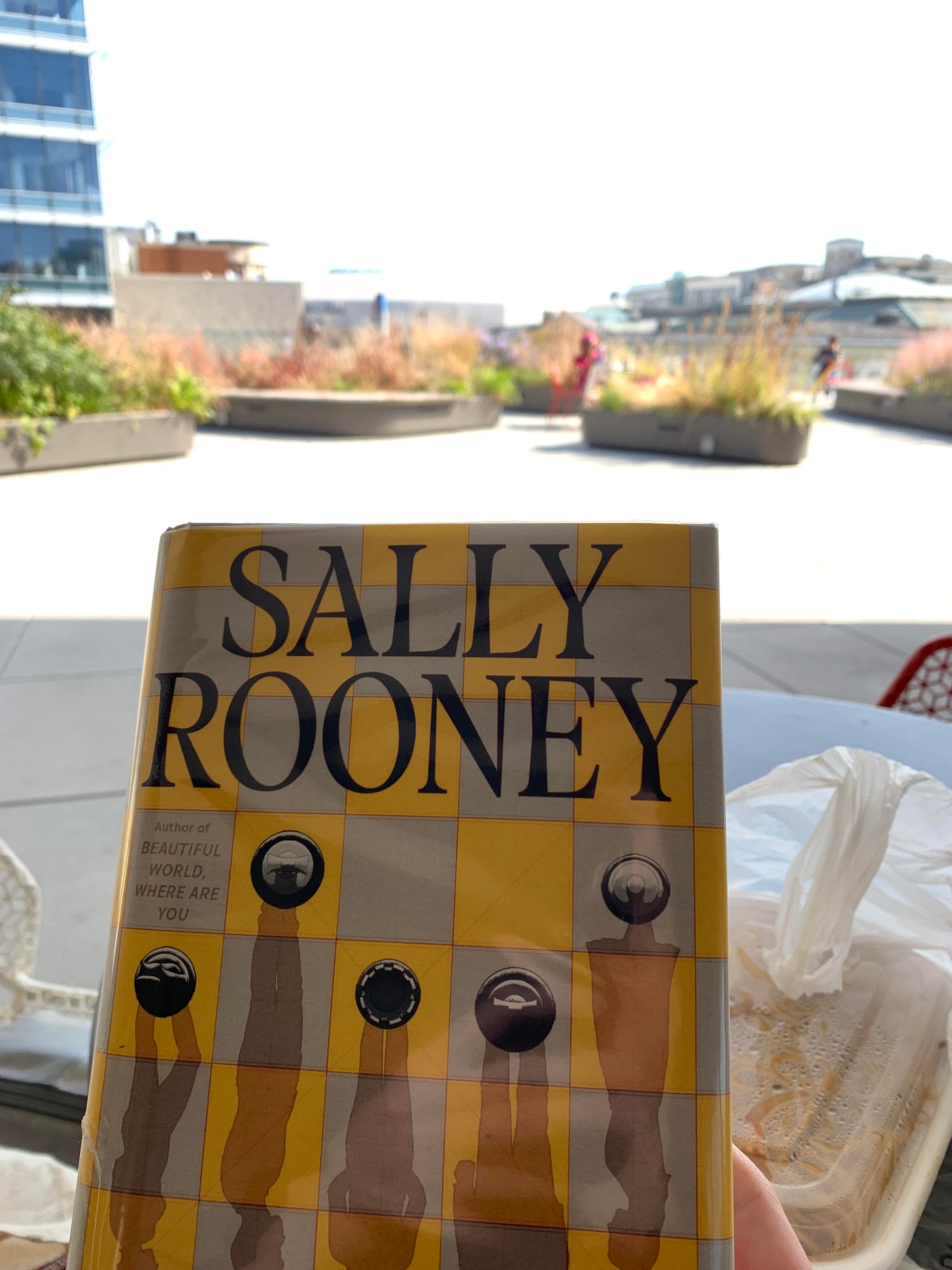 Sally Rooney's Intermezzo on the Roof