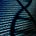 network.bio's avatar