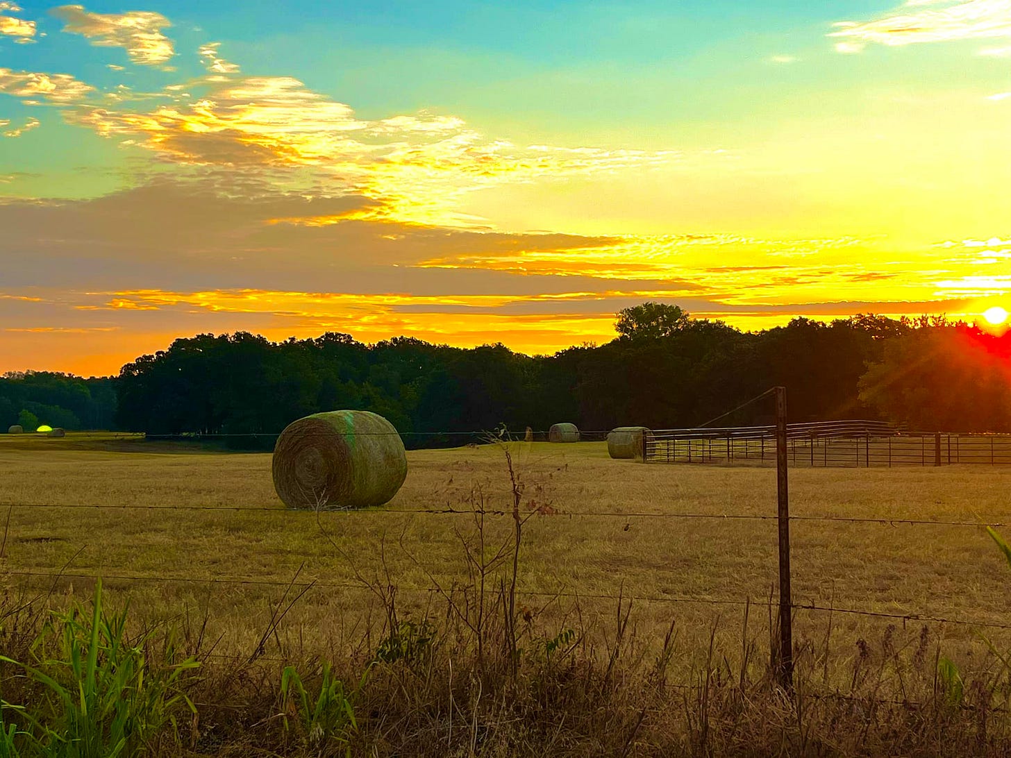 May be an image of silo, horizon, grass and twilight