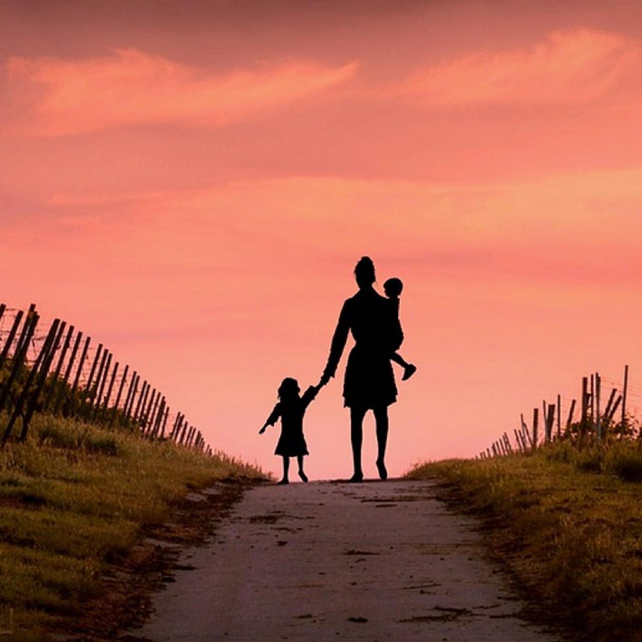 Thomas Cannon Author