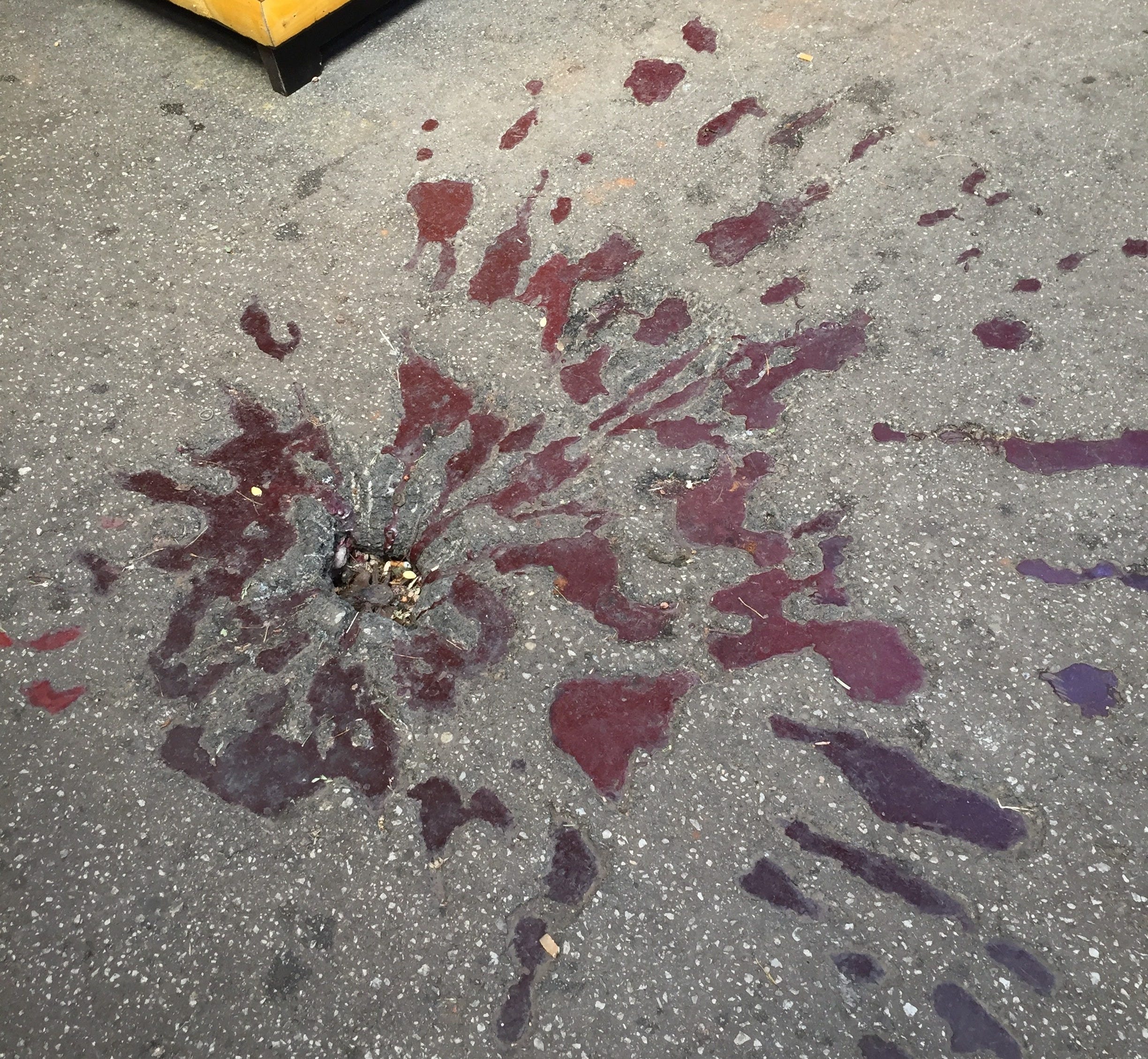 Photo of a âSarajevo Rose,â one of many across the city. These markings memorialize spots in which artillery shells from the siege killed a resident.