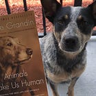 Animals Make Us Human by Temple Grandin book review